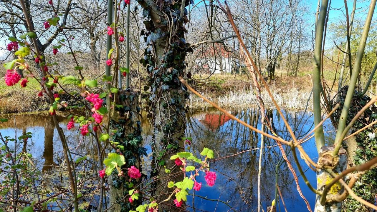 Bornholm Majalis Apartment Ronne Bagian luar foto